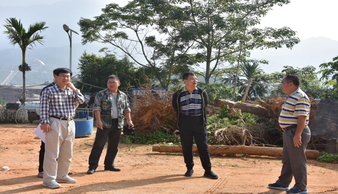 ��ί��ί����֯������ΰ�鵽ˮ������л��㵳������